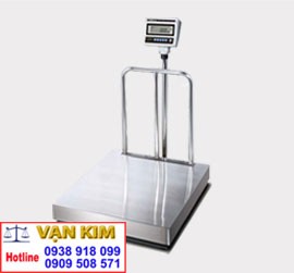 Cân Bàn Điện Tử DB-I 300 CAS